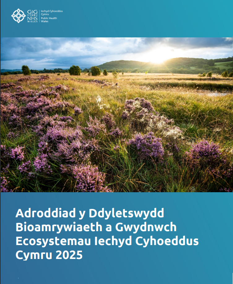 Mae'r clawr blaen yn cynnwys teitl y adroddiad a ffotograff o dirwedd Cymreig gyda draenen a mynyddoedd